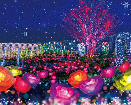 冬は夜間ライトアップが熱い!栃木の「日本夜景遺産」認定スポット4つ
