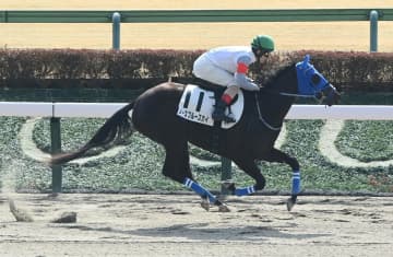 【新馬戦】ノースブルースカイ押し切り初陣V 堀内師「1200メートルあたり」今後を示唆