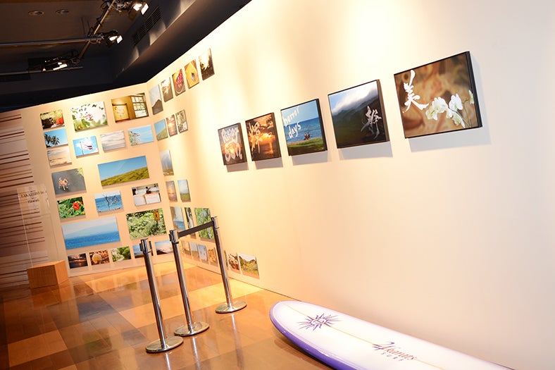 個展「始～絵具バカ日誌」の様子