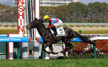 サガルマータは青葉賞、僚馬ロングトールサリーはフローラS