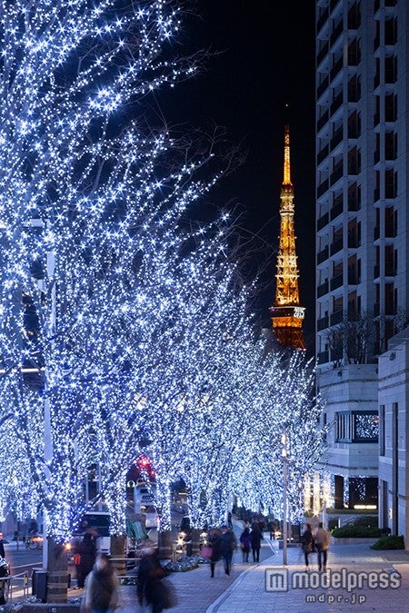 五感で感じるクリスマス がテーマ 1万灯の2色のイルミがライトアップ 女子旅プレス