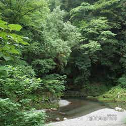 ミューの森(C)モデルプレス