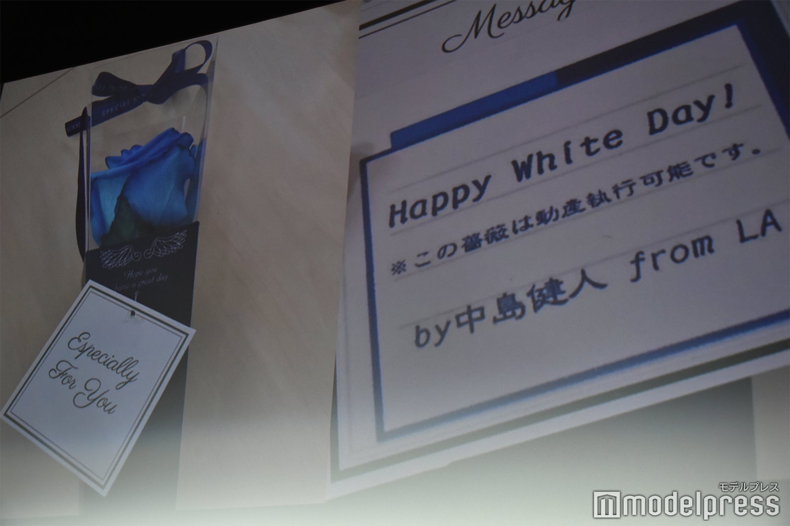LAからホワイトデーに青い薔薇を贈った中島健人のメッセージ（C）モデルプレス