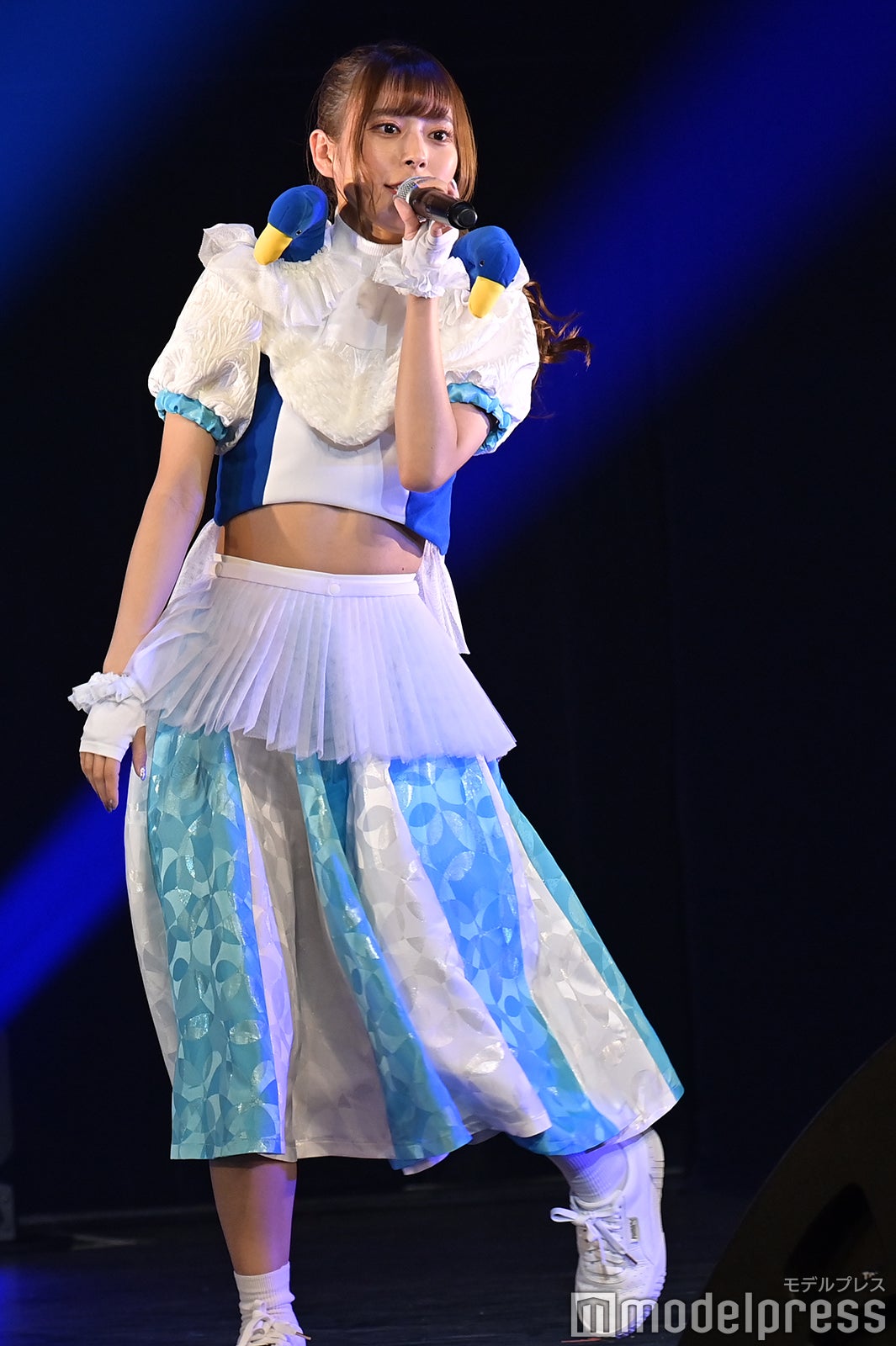 豆柴の大群（C）モデルプレス