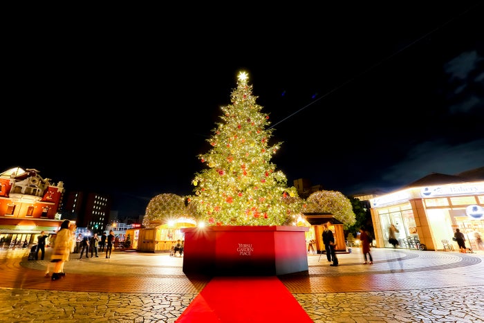 「恵⽐寿ガーデンプレイスウインターイルミネーション2019」昨年の様子／画像提供：恵比寿ガーデンプレイス広報事務局