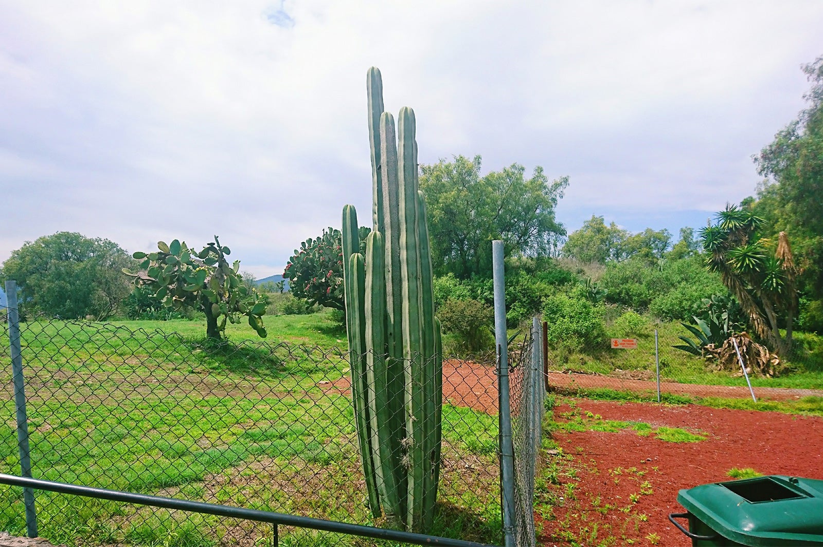 テオティワカン／画像提供：所属事務所