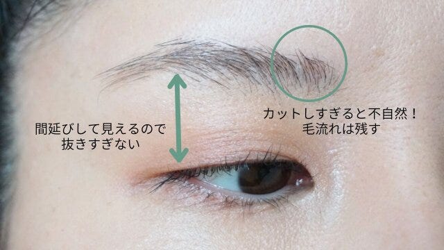 若見えする眉毛のお手入れのコツ　解説