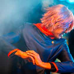 UNIVERSAL FAN FEST NIGHTS/提供画像