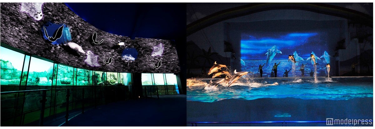 楽園のアクアリウム～マジカル ムーン ファンタジー～／画像提供：横浜八景島