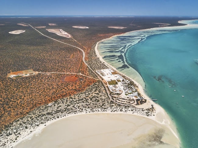 シャークベイ／画像提供：西オーストラリア州政府観光局