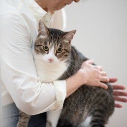 心がスッキリ♡猫が教えてくれた「人間関係」に悩まなくなる方法とは?