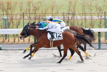 【新馬戦】ティエラレイナ 鼻差交わしてV 岩田望「よく届いてくれましたね。このまま順調にいってくれれば」