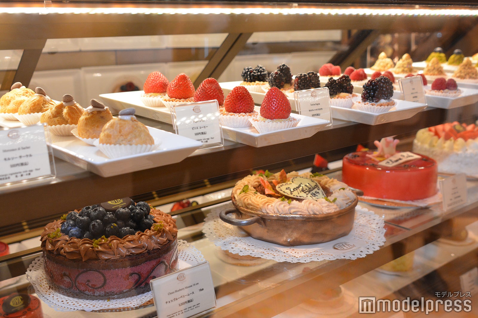 渋谷スクランブルスクエア（C）モデルプレス