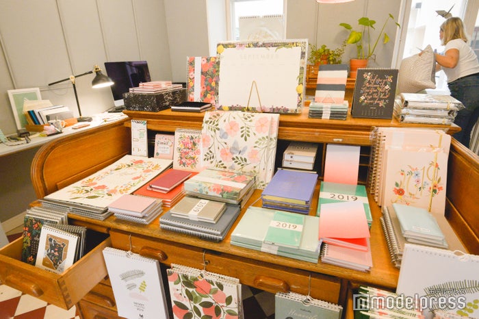 美雪・悠輔がデートした「ペーパーショップ」 （C）ビューティーガール