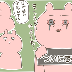 「アデノウィルス」の感染力が恐ろしい!予防むなしく、家庭内で次々感染…~アデノウィルスとの戦い(2)~【産後太りこじらせ母日記】