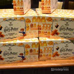 ワーナー ブラザース スタジオツアー東京 ‐ メイキング・オブ・ハリー・ポッター(C)モデルプレス