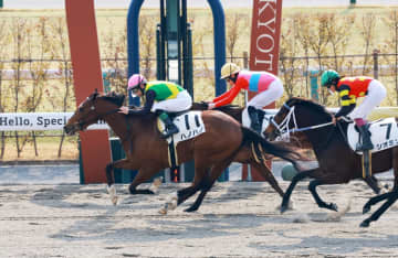 【新馬戦】ハノハノ 好位抜け出しV ルメール「ずっと反応してくれた」