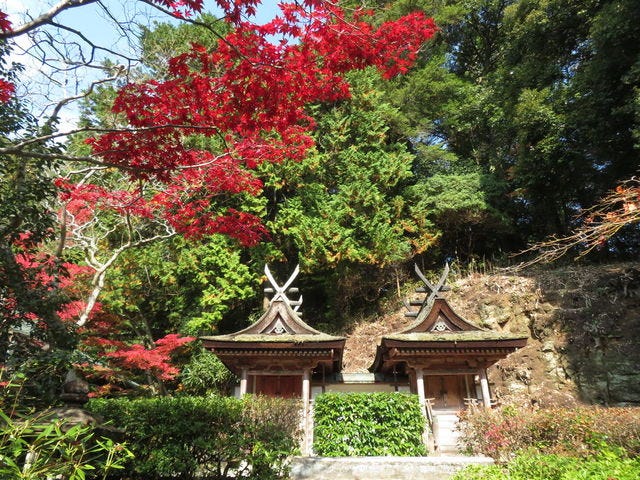 見事な紅葉に感動…♡