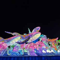 東京ドイツ村ウインターイルミネーション(提供写真)