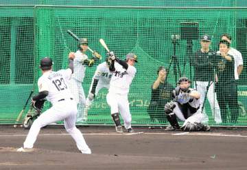 復活へ前進！阪神・近本がシート打撃で左前打 負傷後初の実戦形式で快音 力強いフルスイングも披露