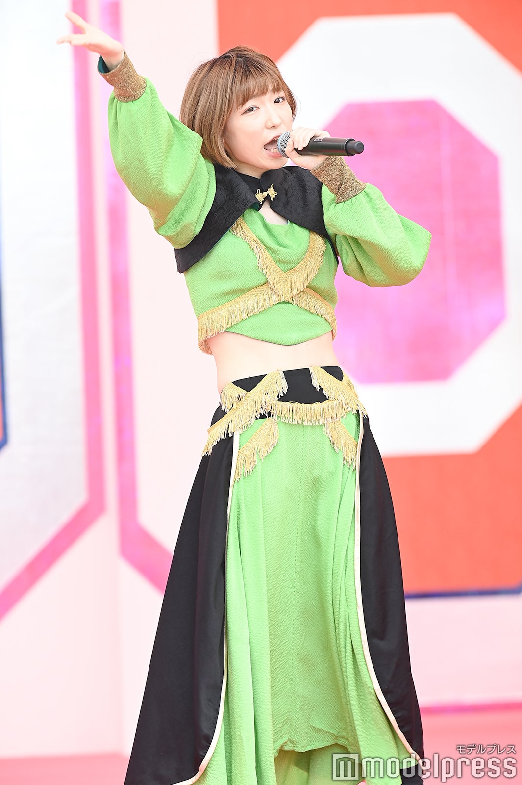 豆柴の大群（C）モデルプレス