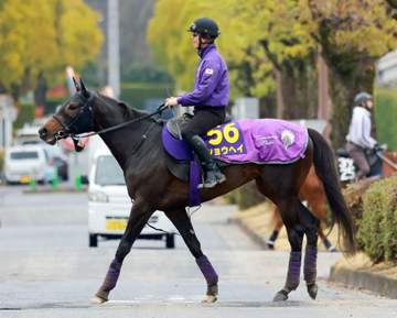 【大阪杯】ショウヘイ 最多勝枠に友道師も納得「極端な枠じゃなくて良かった」 G1初制覇へ自信「使った上積みがある」