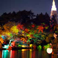 NAKED紅葉の新宿御苑2023/提供画像