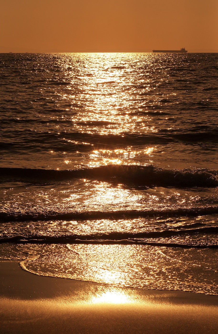 ゆうみ サウナ カフェ／画像提供：紀伊乃国屋