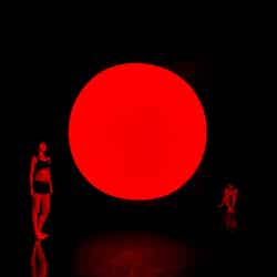 チームラボリコネクト:アートとサウナ 六本木/画像提供:チームラボ