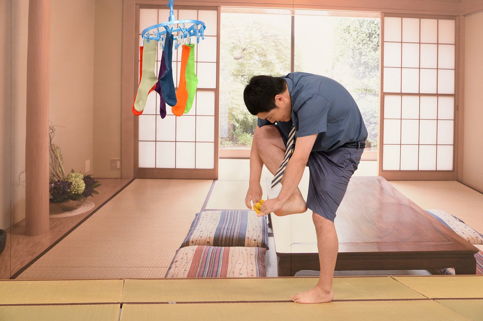 タカ （C）ABCテレビ