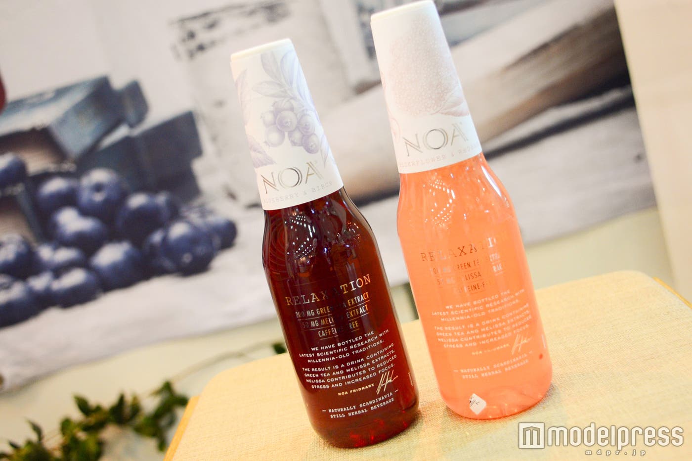 NOA Relaxation(ノア・リラクゼーション)(C)モデルプレス