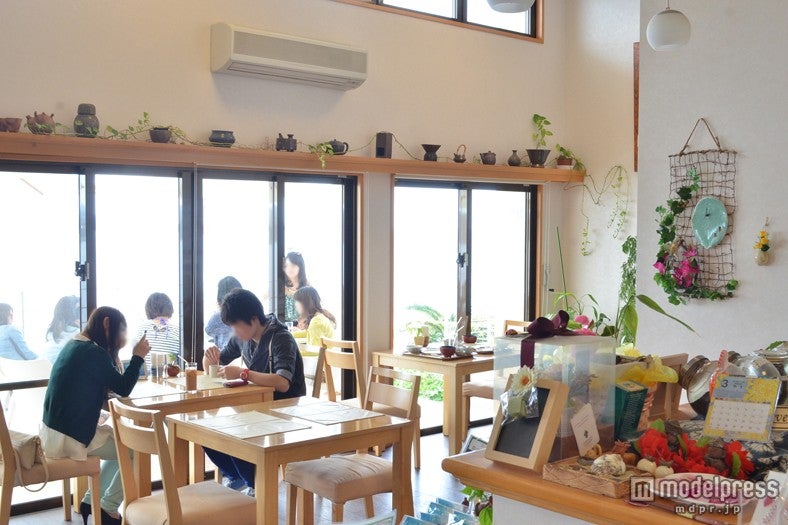 日差しが差し込む明るい店内