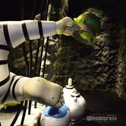 ちいかわパーク(C)モデルプレス