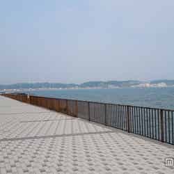 由比ケ浜海岸沿いの遊歩道