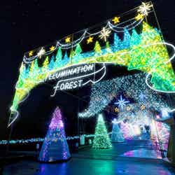 ひかりのすみか/画像提供:時之栖