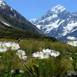 マウントクック/画像提供:JTBワールドバケーションズ