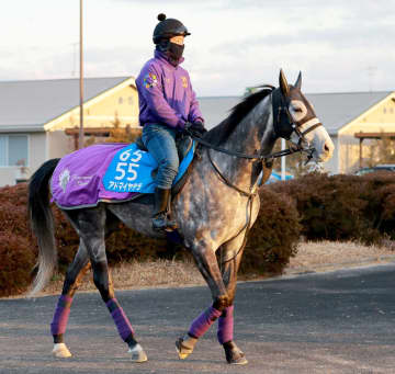 【阪神大賞典】アドマイヤテラ データはメンバー唯一の減点1 伝統の長距離重賞で盾獲りへ弾みつける