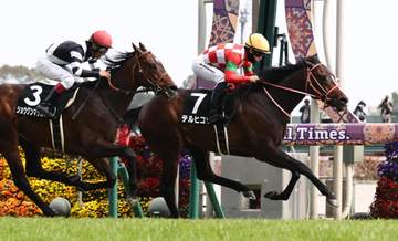 テルヒコウは青葉賞へ カフジエメンタールは京都新聞杯へ向かう