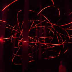 チームラボ《連続する生命の痕跡》(C)チームラボ