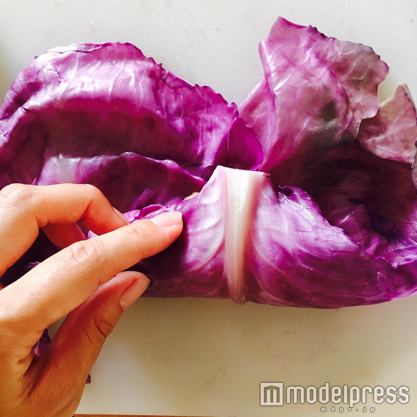 手前から巻いて／画像提供：柏原歩