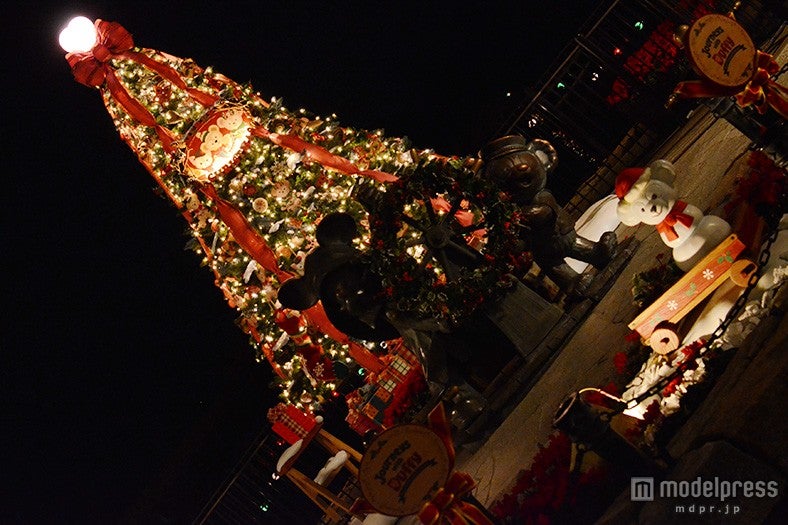 ケープコッドに新登場したツリー（夜）