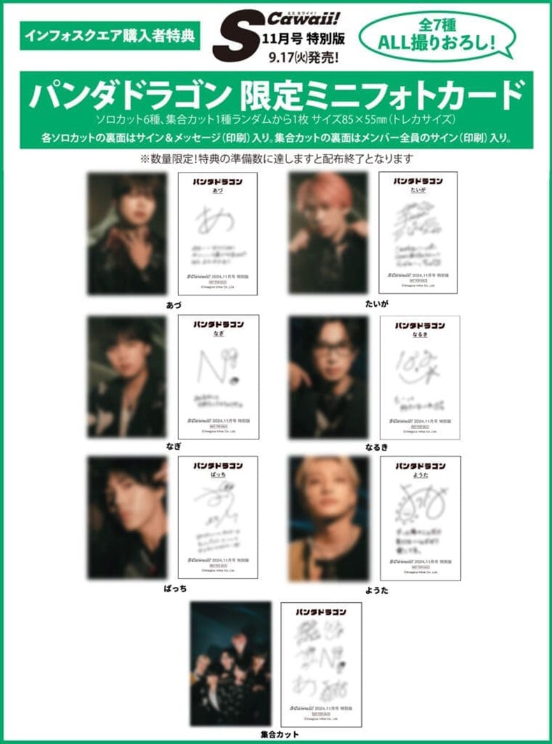 パンダドラゴン（画像提供：主婦と友社）