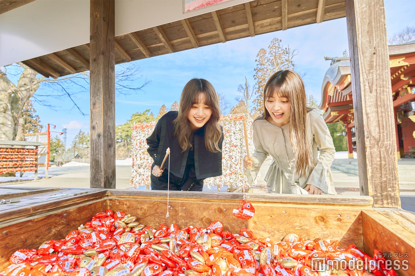 目出鯛みくじ(C)モデルプレス