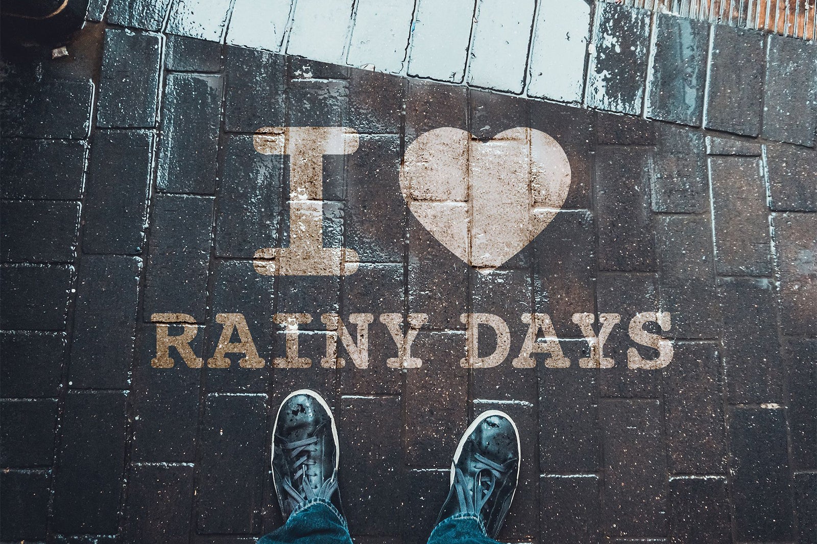 画像提供：MARINE & WALK YOKOHAMA