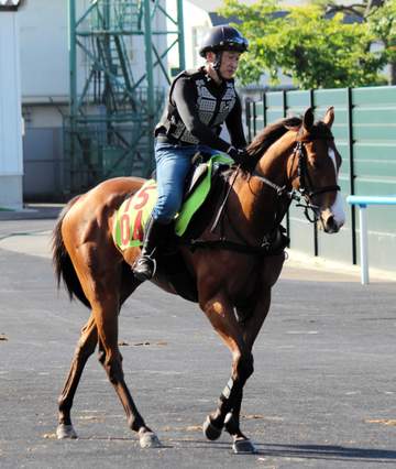 【新馬戦】ラピッドテソーロ 動き素軽く初戦から 母は芝＆ダートの二刀流で活躍したリエノテソーロ