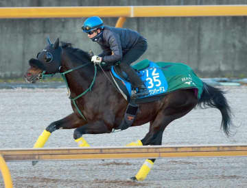 【中山記念】セイウンハーデス 3頭併せで4歳馬に先着 橋口師「この出来なら自信を持ってレースにいけます」