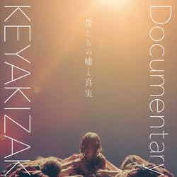 『僕たちの嘘と真実 Documentary of 欅坂46』DVDスペシャルエディション（C）2020「僕たちの嘘と真実 DOCUMENTARY of 欅坂 46」製作委員会