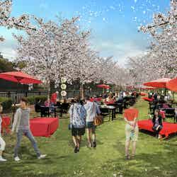 「大阪城 お花見 和ーべきゅう」プレミアムゾーンのイメージ/画像提供:大阪城パークマネジメント共同事業体