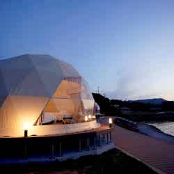 TADAYOI/提供画像