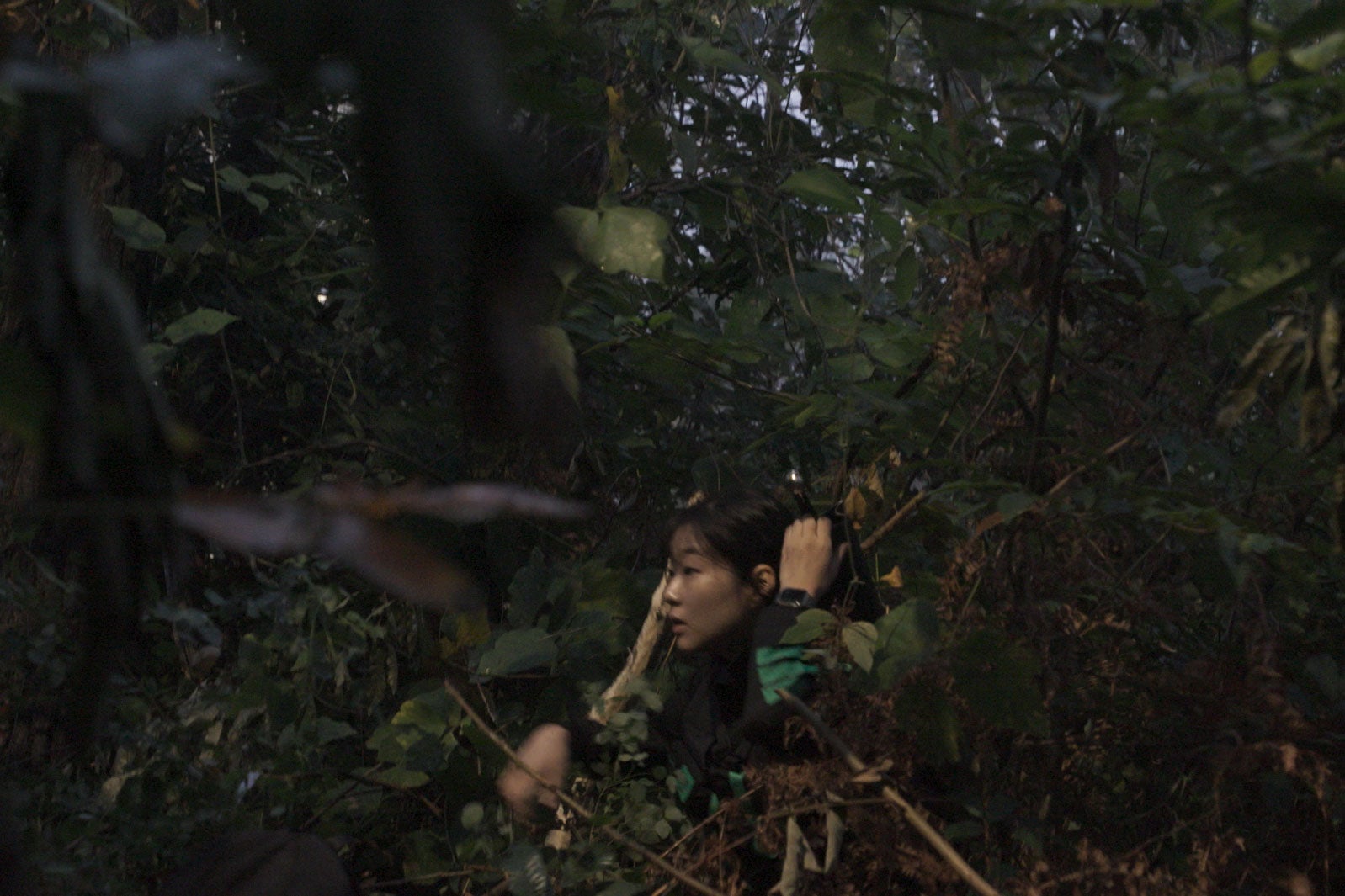 Netflixシリーズ「Siren: Survive the Island（英題）」2023年独占配信